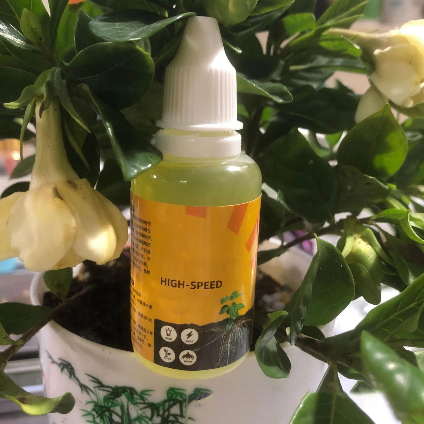 Plant Root Booster Liquid | Stronger Roots, Healthier Plants | 50% OFF Now