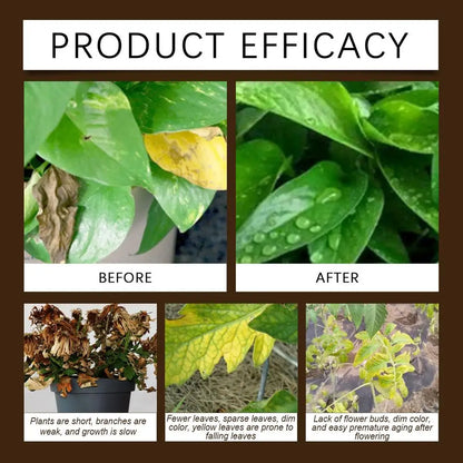 Soil Pro Activator | Healthier Soil, Stronger Growth | 50% OFF Now