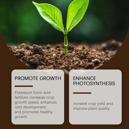 Soil Pro Activator | Healthier Soil, Stronger Growth | 50% OFF Now