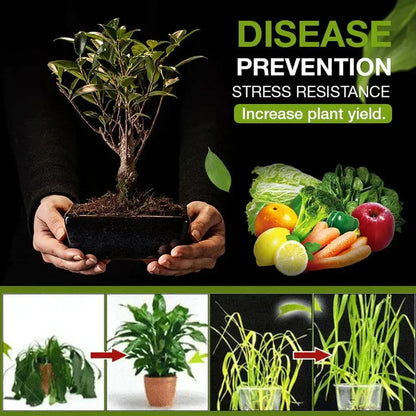 Soil Pro Activator | Healthier Soil, Stronger Growth | 50% OFF Now