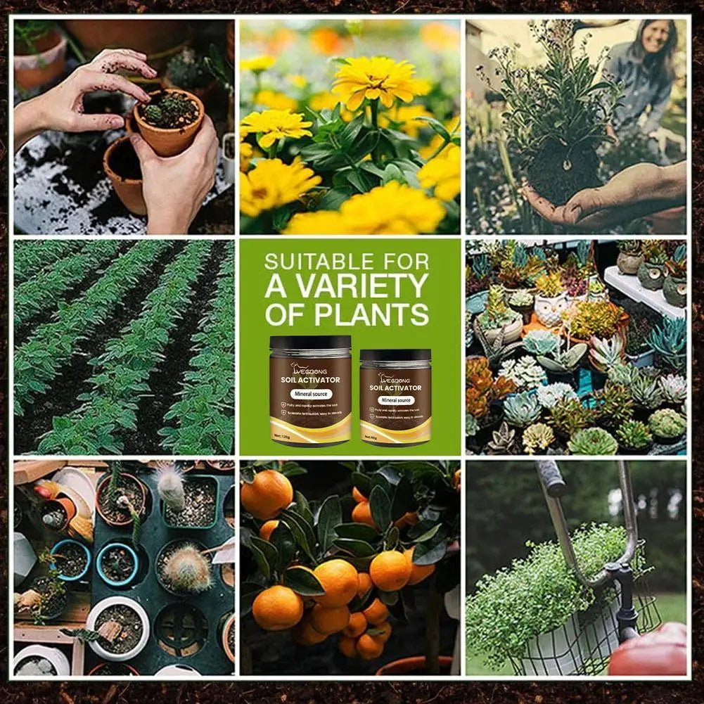 Soil Pro Activator | Healthier Soil, Stronger Growth | 50% OFF Now
