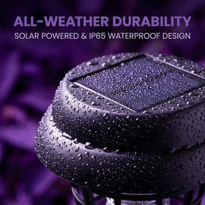 Solar Mosquito Light | Mosquito-Free Evenings | SAVE 55% NOW